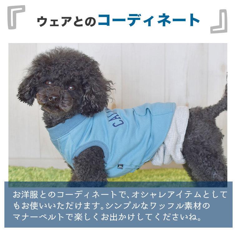 品質が セール 30 Off 犬 マナーベルト Idog マナーバンド ワッフル ボーダー アイドッグ メール便ok マーキング防止 マナーグッズ Aynaelda Com