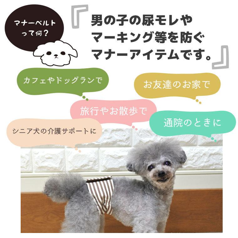 犬 マナーベルト Idog マナーバンド 裏毛ボーダー ボーダー アイドッグ メール便ok マーキング防止 マナーグッズ 149 Idog 通販 Yahoo ショッピング