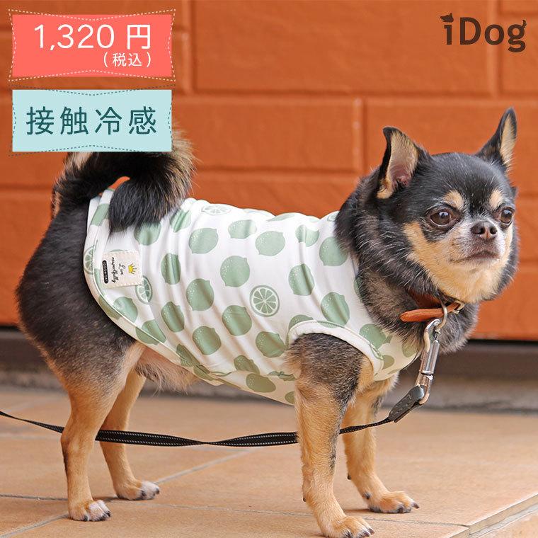 公式の 犬 服 Idog Cool Chill レモンタンク 接触冷感 アイドッグ メール便ok 犬服 春夏 犬の洋服 ペット服 プードル チワワ 夏物 Discoversvg Com