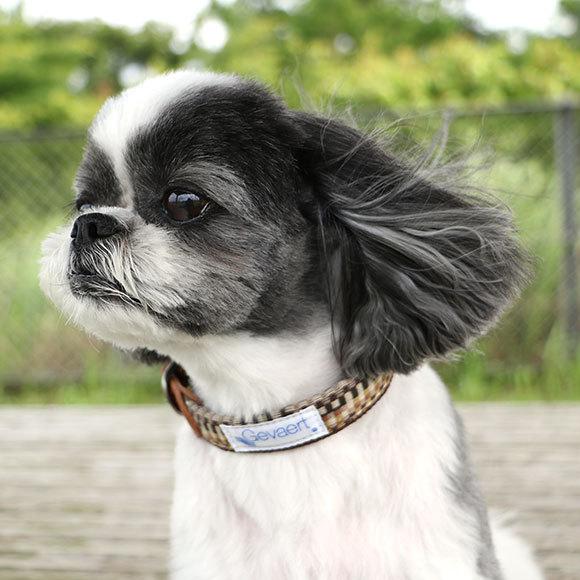 ハロウィンセール 30%OFF 犬首輪 Gevaert×iDog 犬用首輪 モザイク アイ 