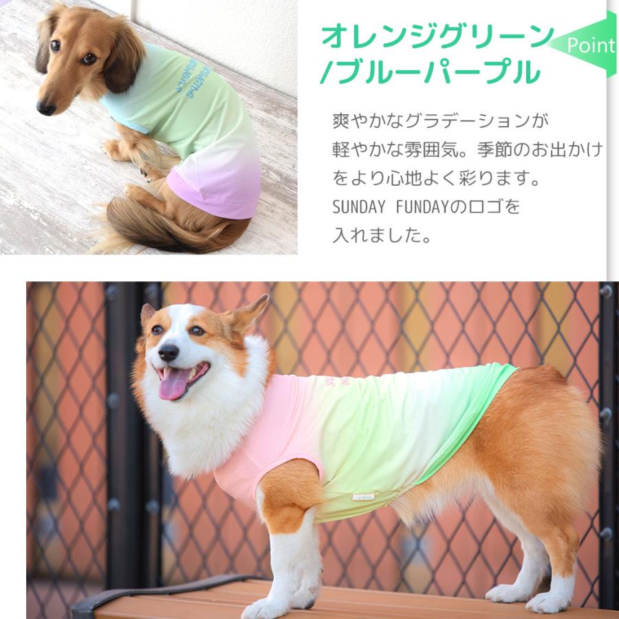 iDog プレクリアランスセール 10%OFF COOL+MOSCAPE プリントタンク