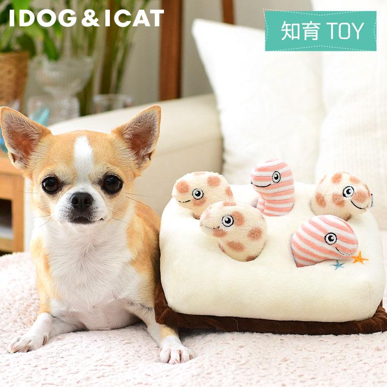 iDog 犬用品 知育おもちゃ チンアナゴ アイドッグ : iDog - 通販