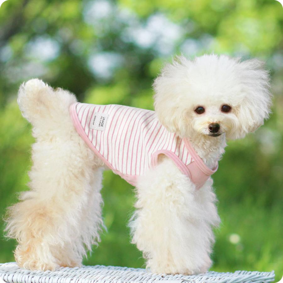 iDog UNAGE アンエイジ ウェルネスウェア インナータンク アイドッグ
