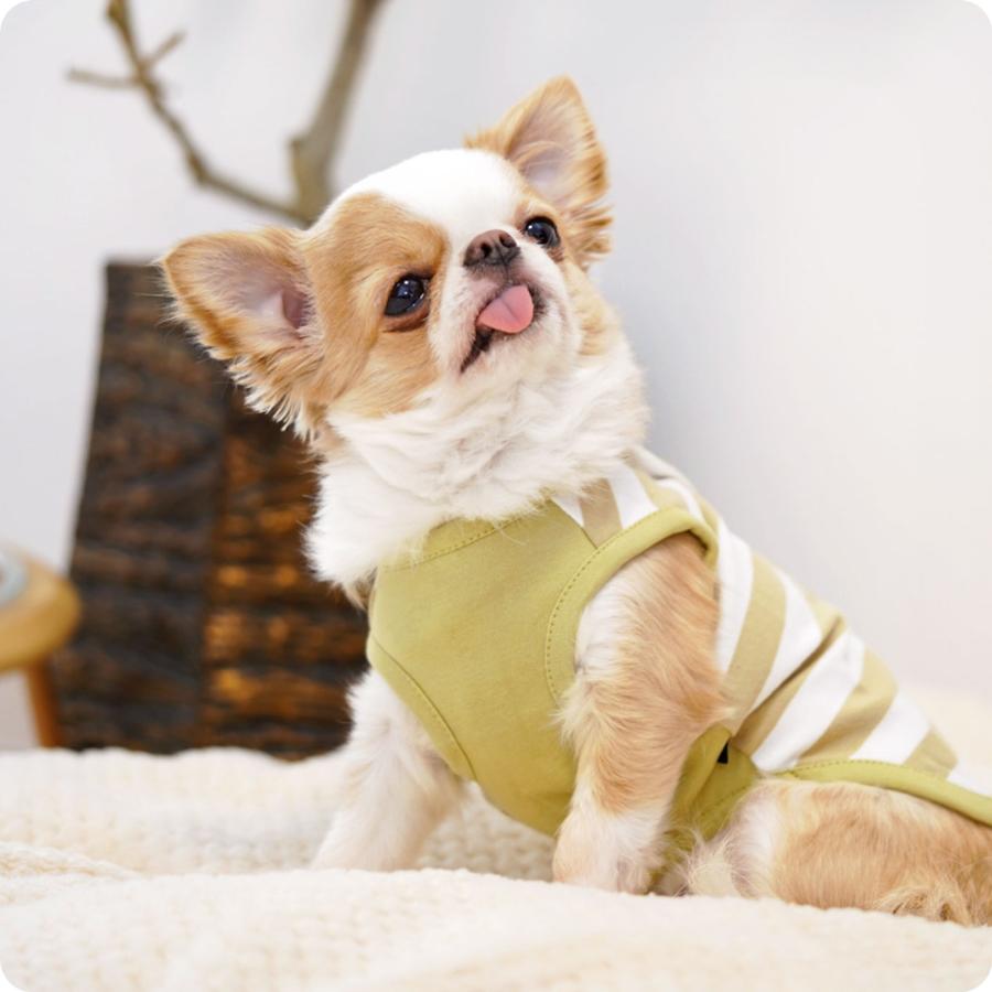 iDog 犬 服 UNAGE ウェルネスウェア 背中開きタンク アンエイジ iDog 犬 服 UNAGE ウェルネスウェア 背中開きタンク アンエイジ