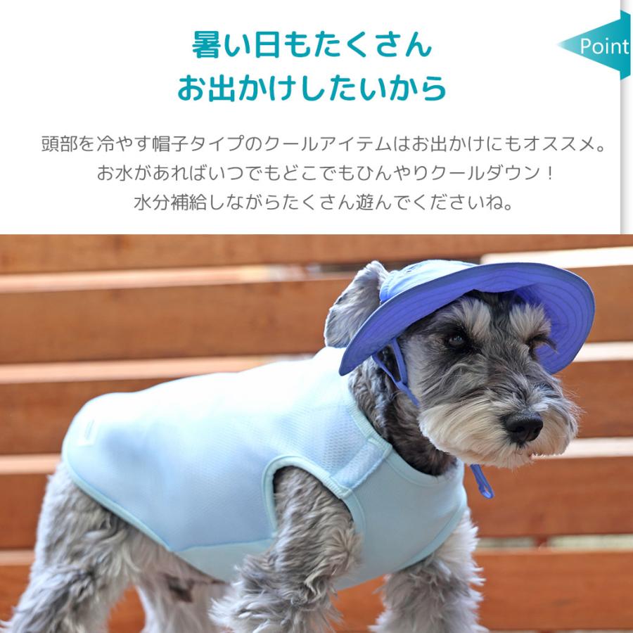 iDog クーポン利用で最大15％OFF AQUA HOLD ひんやりアクティブハット