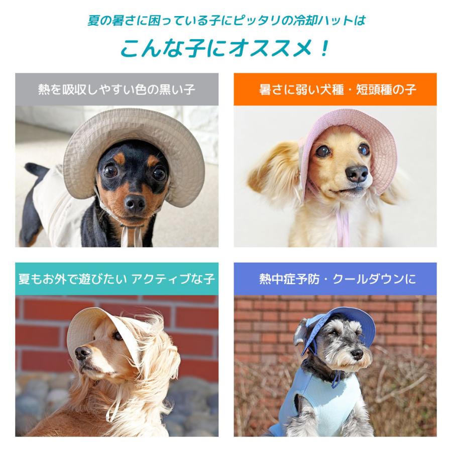 iDog クーポン利用で最大15％OFF AQUA HOLD ひんやりアクティブハット