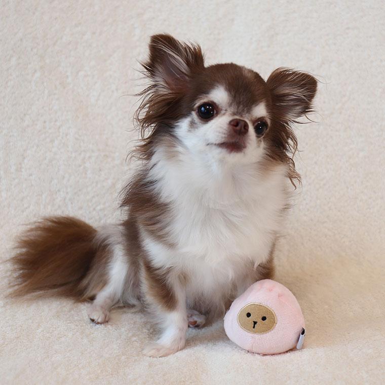 iDog 犬 おもちゃ にくまん 鳴き笛入り アイドッグ 猫 プードル チワワ