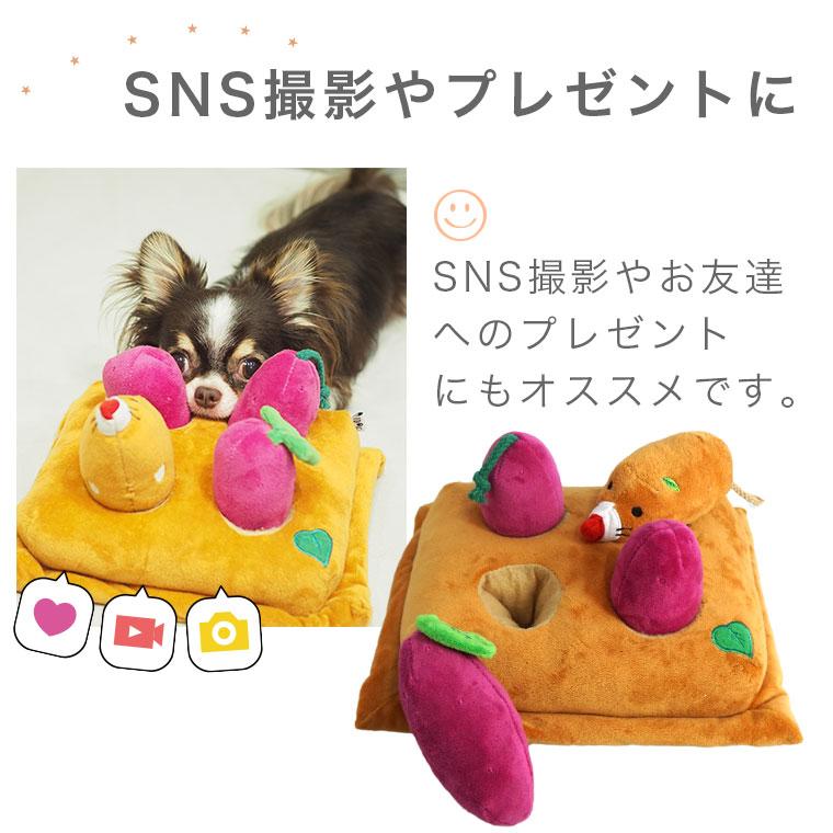 【非売品】サッポロ一番 オリジナル仕様 idog アイドッグ SEGA 非売品】サッポロ一番 オリジナル仕様 idog アイドッグ 懸賞品 SEGA