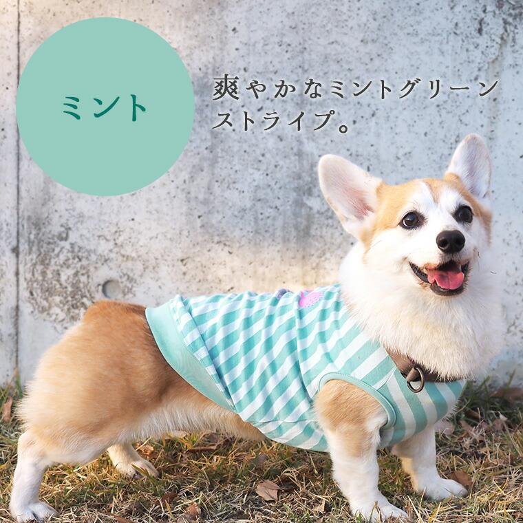 犬 服 iDog MOSCAPE キャンディストライプタンク 防蚊 アイドッグ  メール便OK｜idog｜16