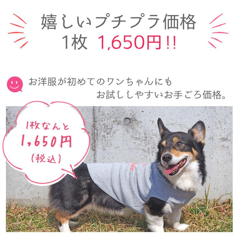 犬 服 iDog アドベンチャーロゴパーカー アイドッグ メール便OK  犬の服 セール プードル チワワ ダックス｜idog｜11