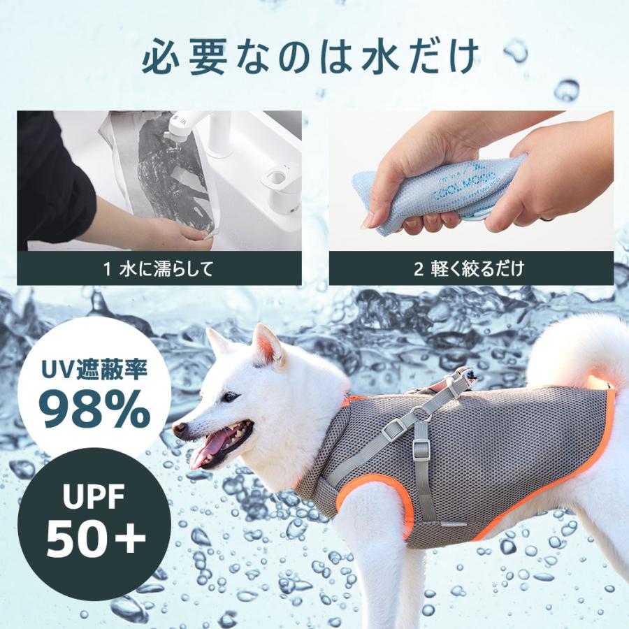 iDog AQUA HOLD ひんやり空冷&保水 Wクールハーネス アイドッグ : iDog