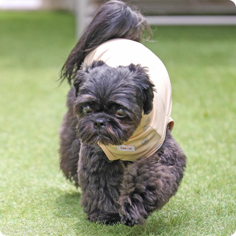 iDog 犬 服 UNAGE+DANON アンエイジ ウェルネスウォームタンク アイ