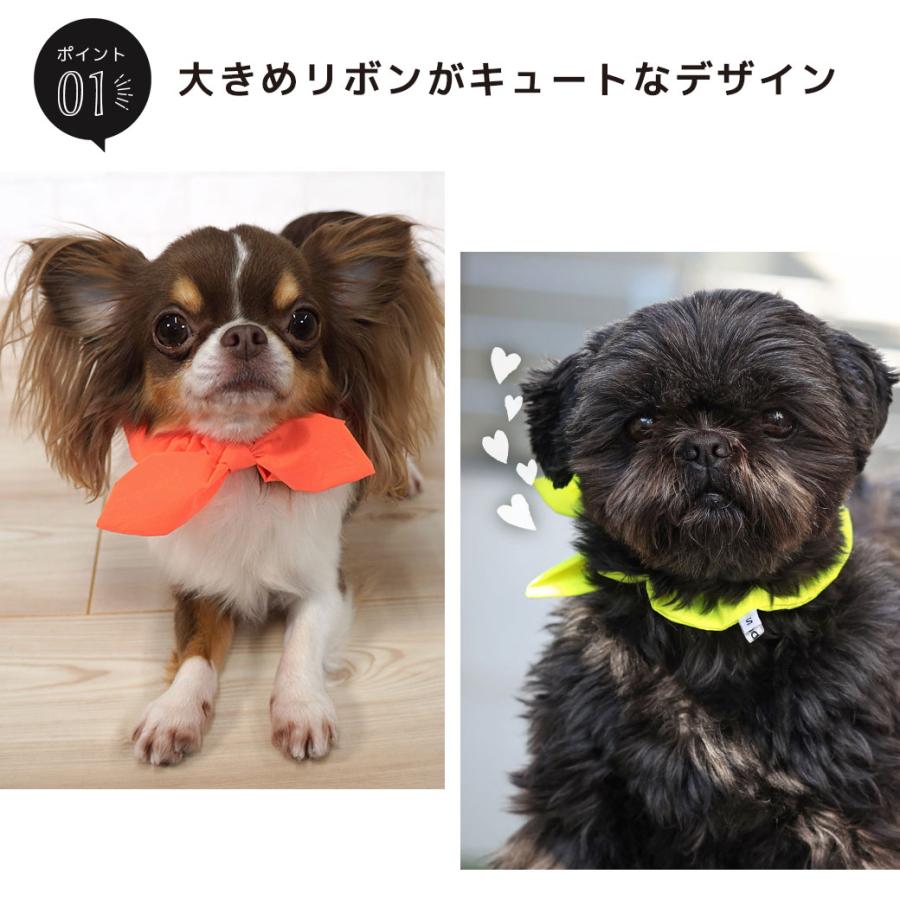 iDog 犬用品 シュシュ 反射 アイドッグ メール便OK : iDog - 通販