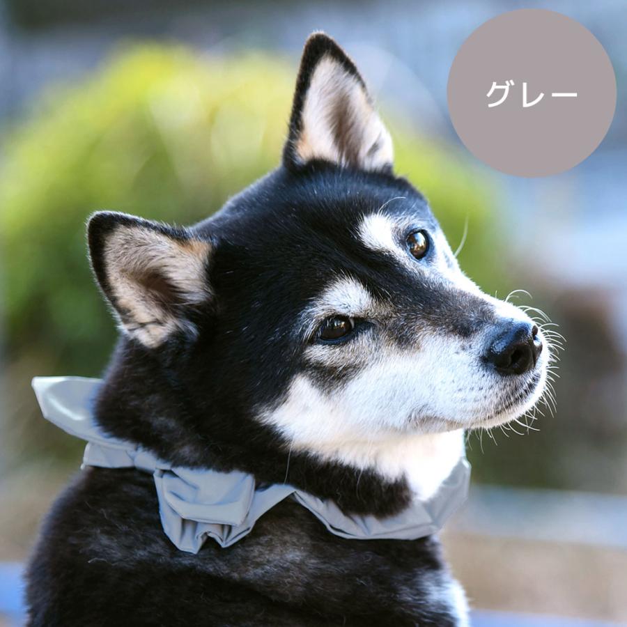 iDog 犬用品 シュシュ 反射 アイドッグ メール便OK : iDog - 通販