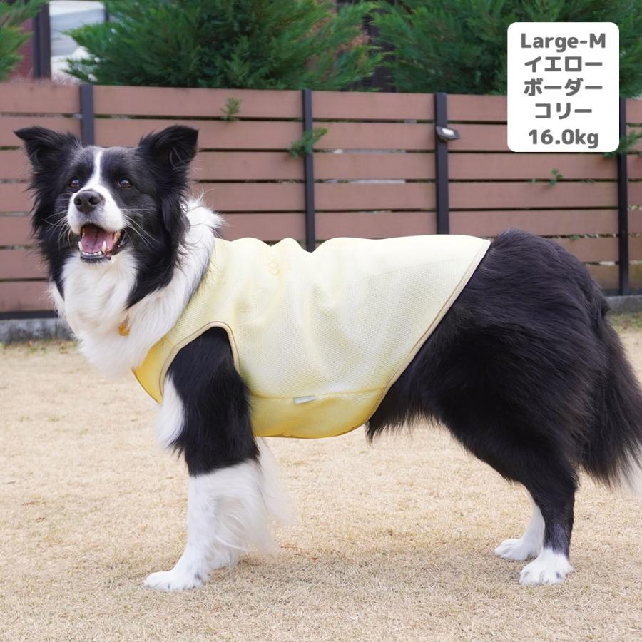 iDog AQUA HOLD 中大型犬用 ひんやり空冷&保水 Wクールタンク アイ