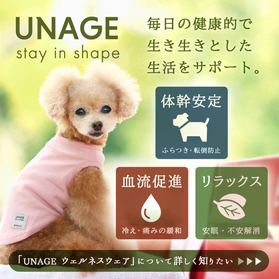 犬 服 IDOG&ICAT UNAGE ウェルネスシュシュ アンエイジ アイドッグ メール便OK｜idog｜05