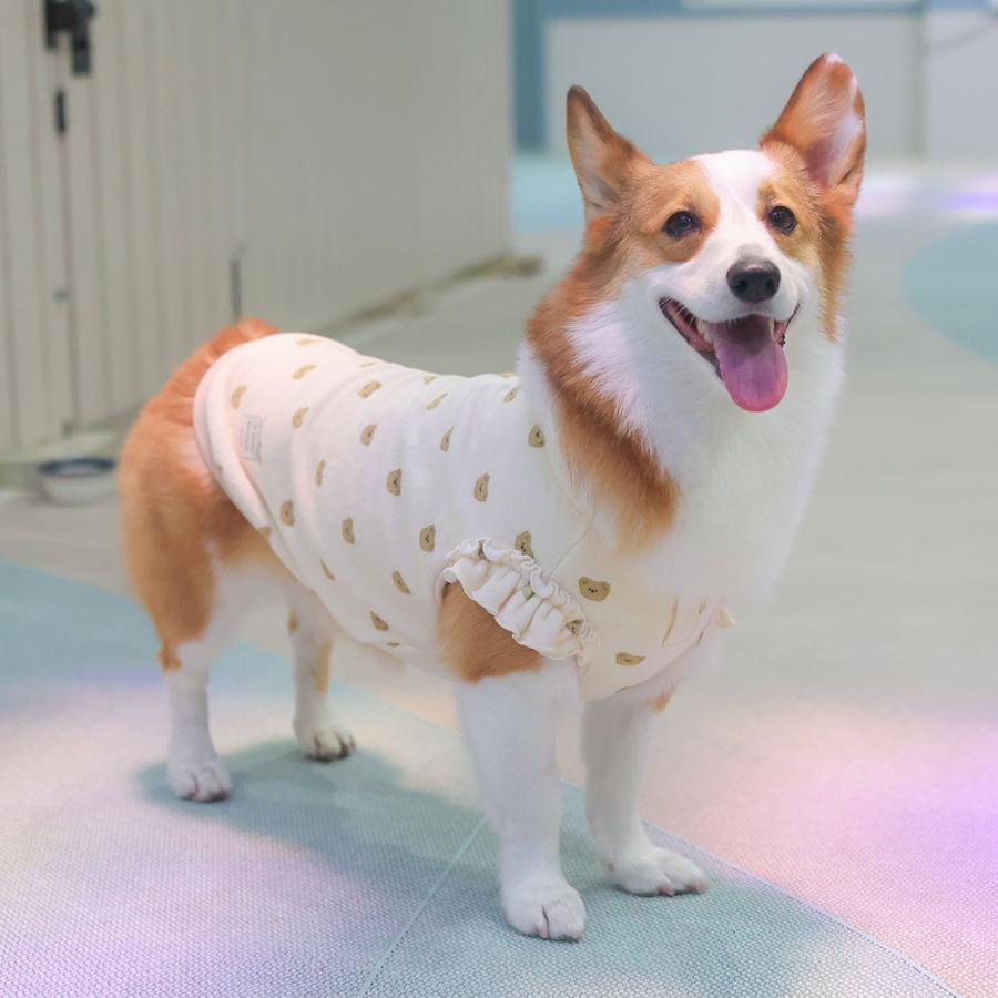 専用★ハンドメイド　犬服　カップケーキ柄&ドットニット　タンク② 訳あり iDog クーポン利用で最大25%OFF fleur あったかkawaiiタンク