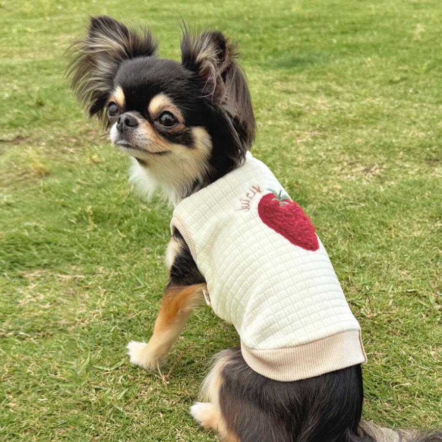 iDog クリスマスセール 20%OFF fleur あったかkawaiiタンク アイドッグ