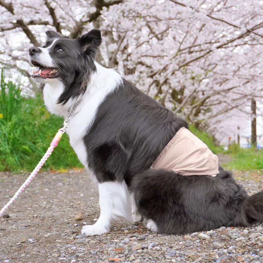 iDog クーポン利用で最大7％OFF 犬 服 IDOG&ICAT UNAGE アンエイジ