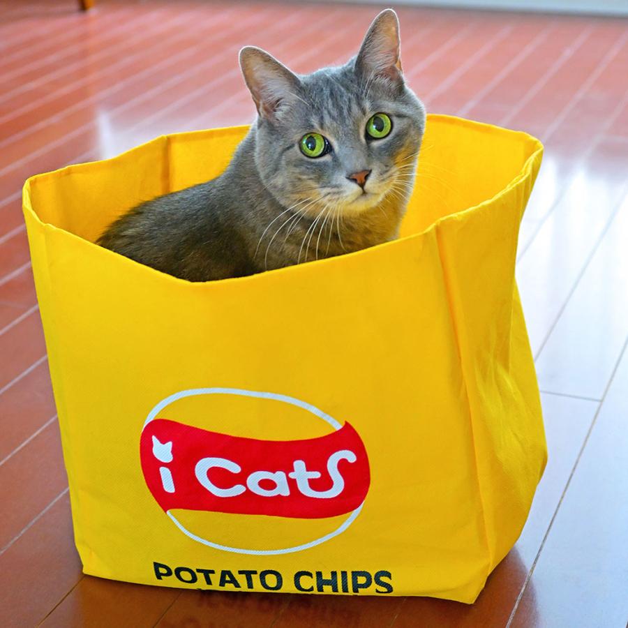 iDog 猫用品 おもちゃ IDOG&ICAT もぐれるポテチ袋 アイドッグ