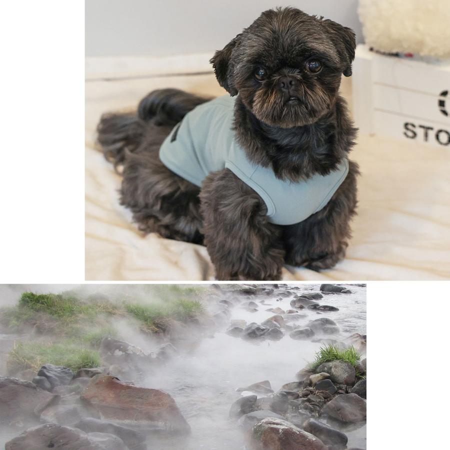 iDog クーポン利用で最大7％OFF 犬 服 UNAGE SPA アンエイジスパ 背中