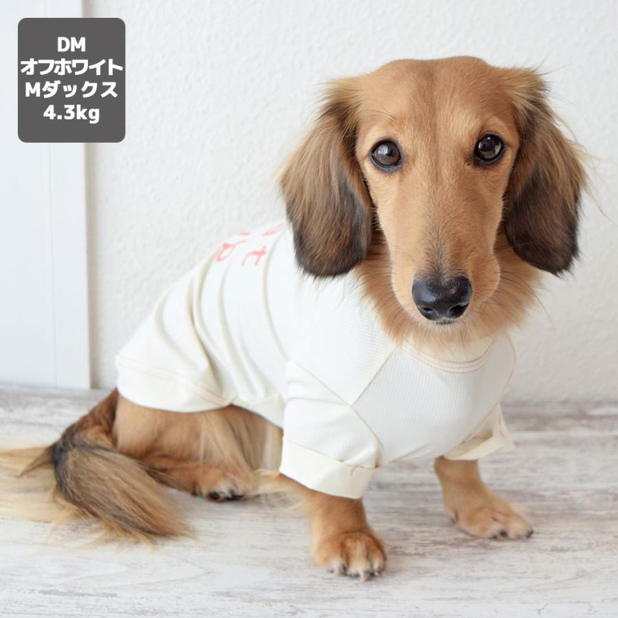 iDog COOL+MOSCAPE ロゴプリントメッシュTシャツ 接触冷感 防蚊 アイ
