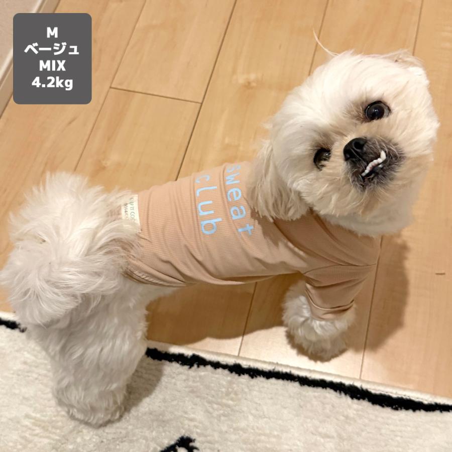 iDog ワンダフルセール 10%OFF COOL+MOSCAPE ロゴプリントメッシュT
