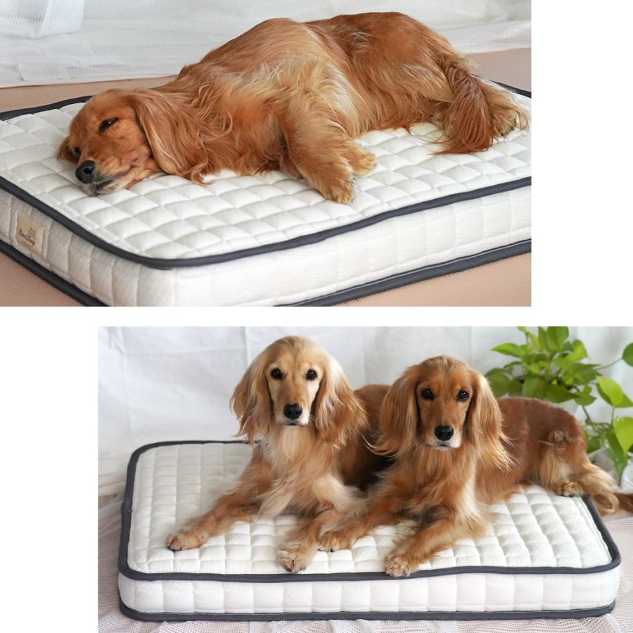 iDog ワンダフルセール 30%OFF 犬 ベッド IDOG&ICAT ポケットコイル