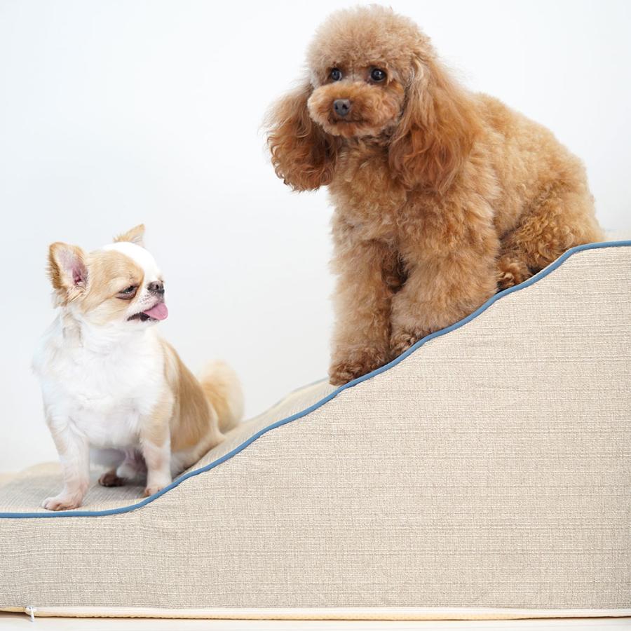 iDog 犬 iStep WoofLens スロープステップ アイドッグ スロープ 階段
