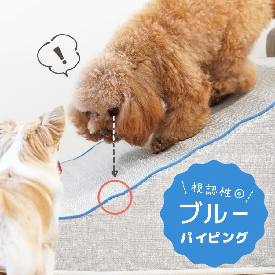 iDog 犬 iStep WoofLens スロープステップ アイドッグ スロープ 階段