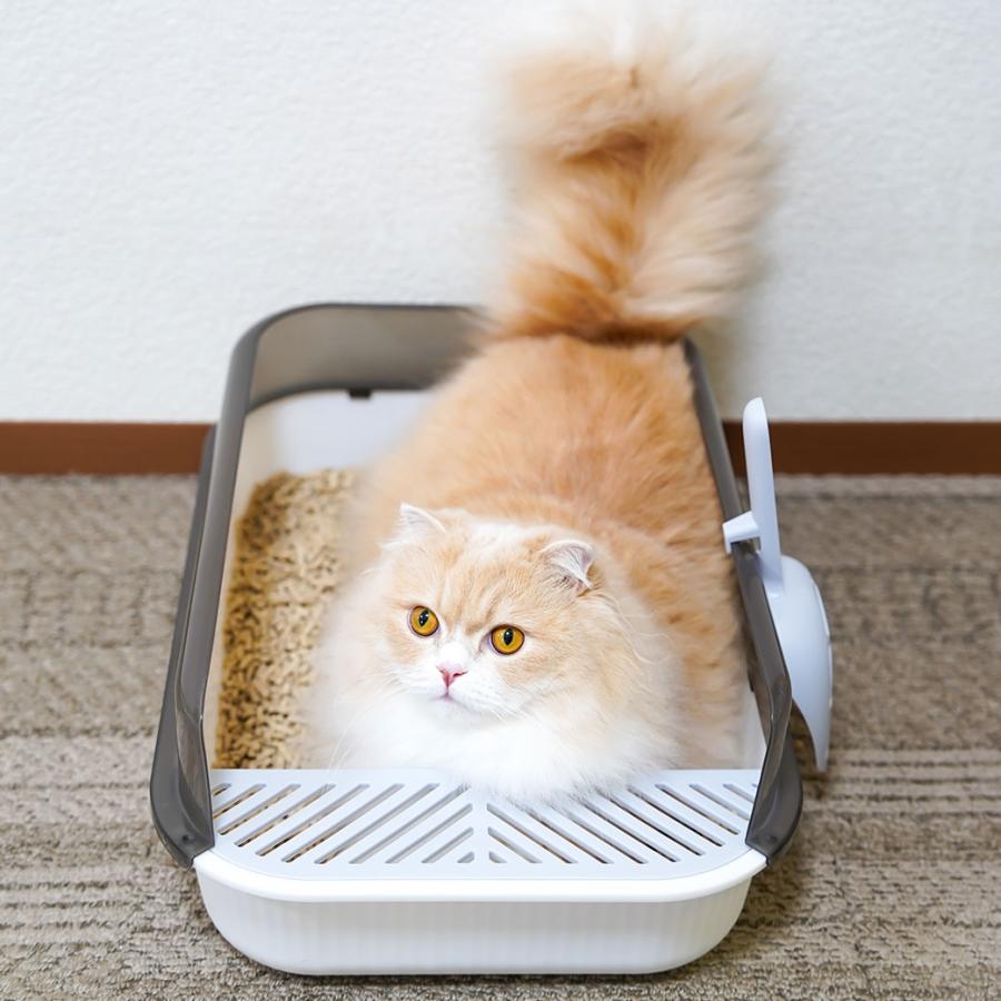 iDog 猫用トイレ用品 iCat セミクローズドプラスチックサンドボックス
