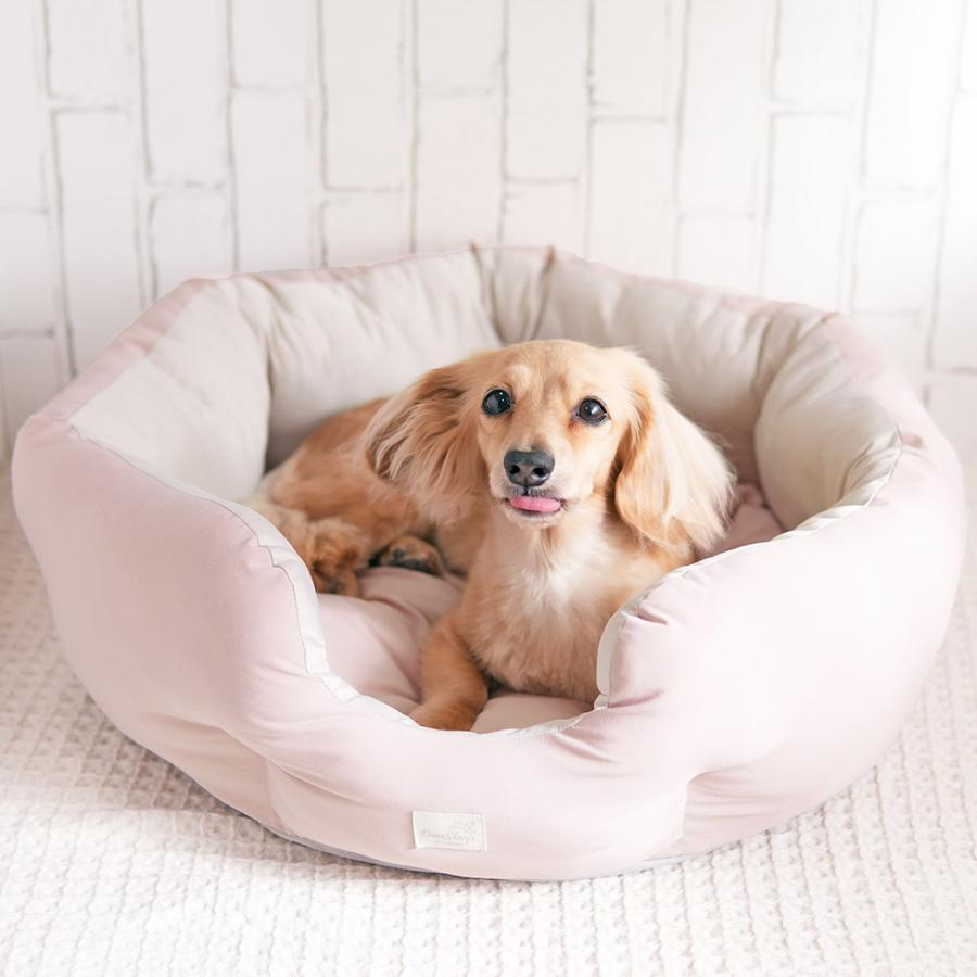 NANDOG ナンドッグ 王冠 クラウドクラウン ベッド ロイヤルアイボリー iDog IDOG&ICAT クールラウンドベッド 接触冷感 抗菌 防臭 アイドッグ