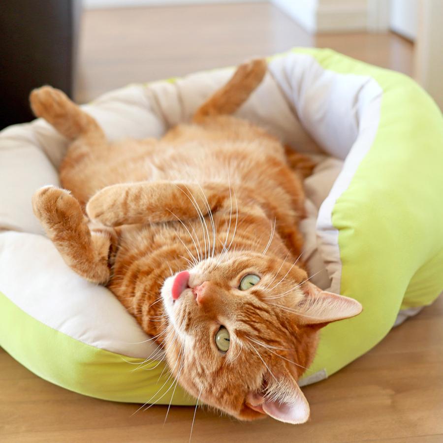 NANDOG ナンドッグ 王冠 クラウドクラウン ベッド ロイヤルアイボリー iDog IDOG&ICAT クールラウンドベッド 接触冷感 抗菌 防臭 アイドッグ