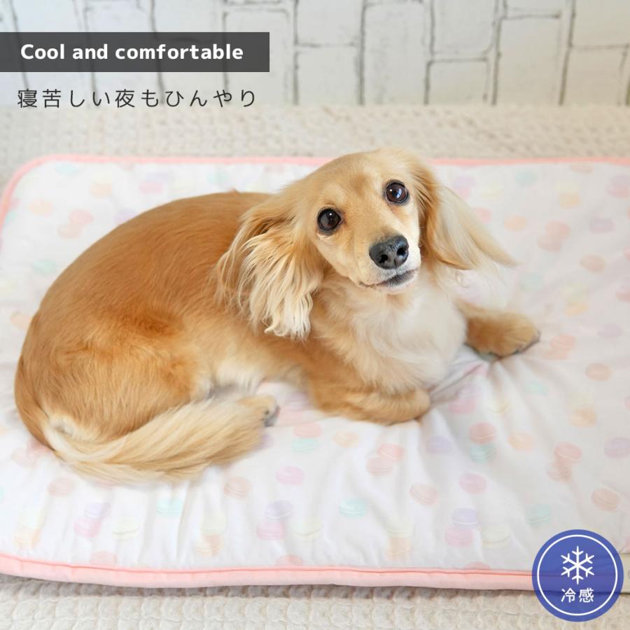 犬 マット IDOG&ICAT クールステイマット 接触冷感 抗菌 防臭 アイドッグ｜idog｜06