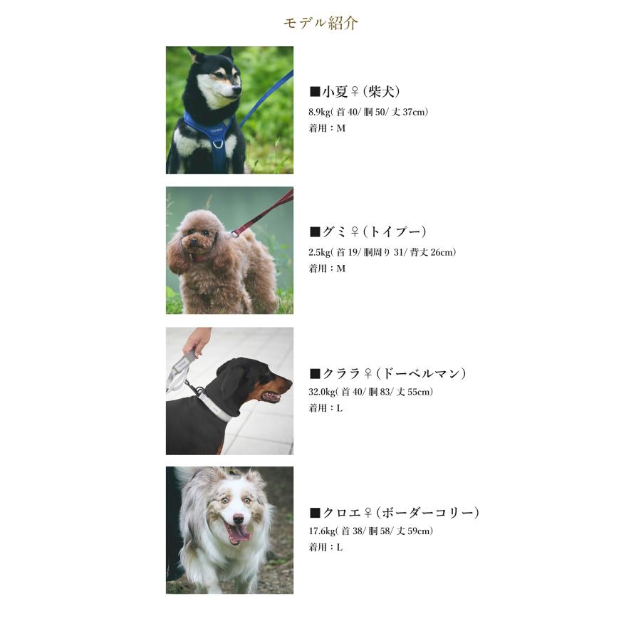 iDog 犬 リード TREKNINE|コンフォートリード トレックナイン アイ