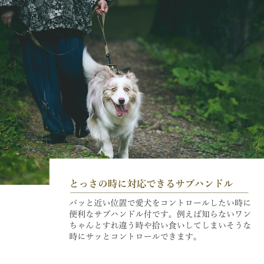 iDog 犬 リード TREKNINE|コンフォートリード トレックナイン アイ