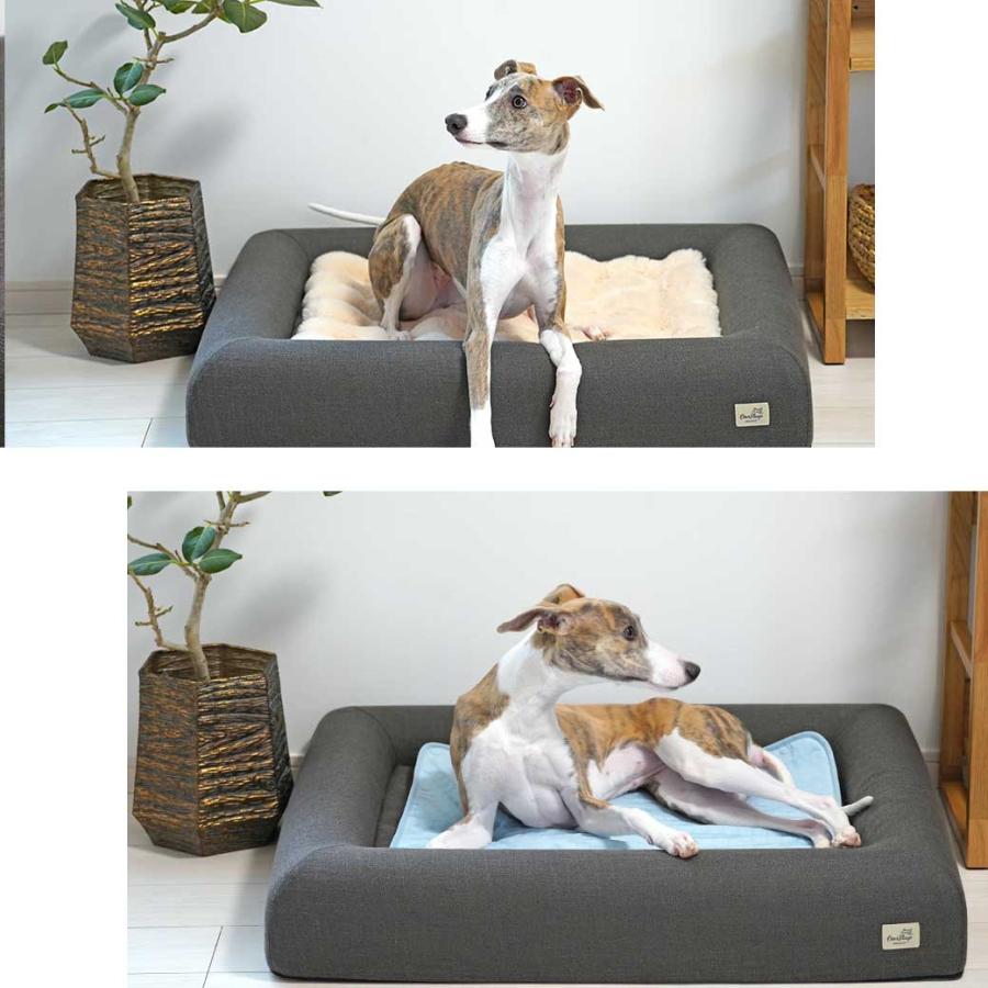 犬 ベッド IDOG&ICAT レストキューブベッド Lサイズ アイドッグ_13