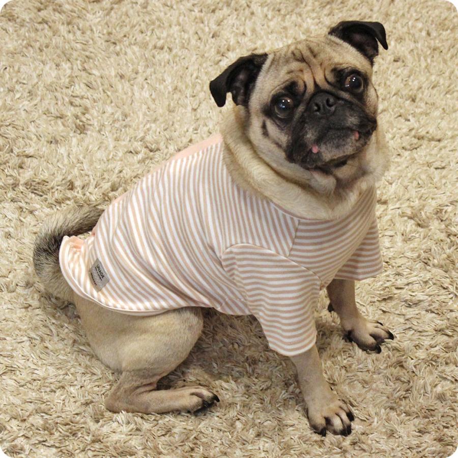 iDog 犬 服 UNAGE アンエイジ ウェルネスウェア 背中開きTシャツ アイ