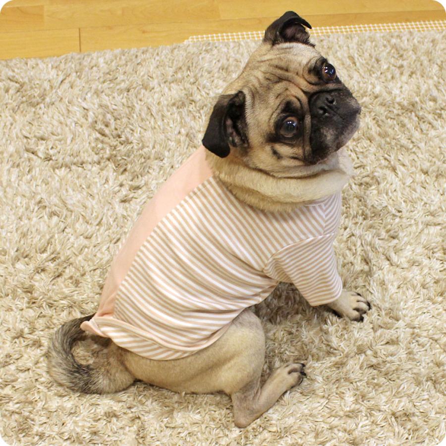 iDog 犬 服 UNAGE アンエイジ ウェルネスウェア 背中開きTシャツ アイ
