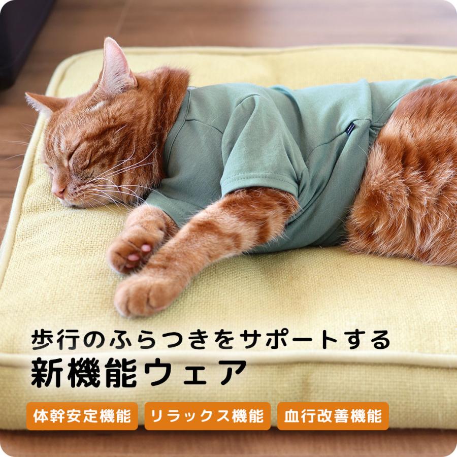iDog 犬 服 UNAGE アンエイジ ウェルネスウェア 背中開きTシャツ アイ