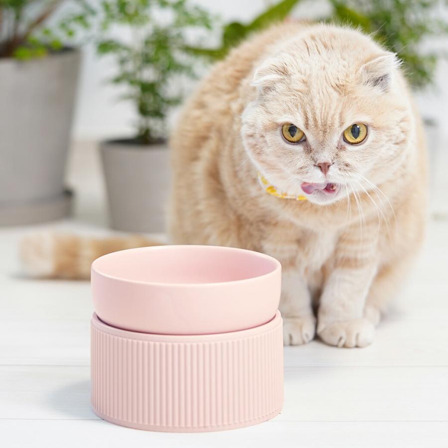 犬用食器 IDOG&ICAT pelpas ペルパ マットカラーシンプルフードボウル セパレートタイプ アイドッグ | iDog | 10