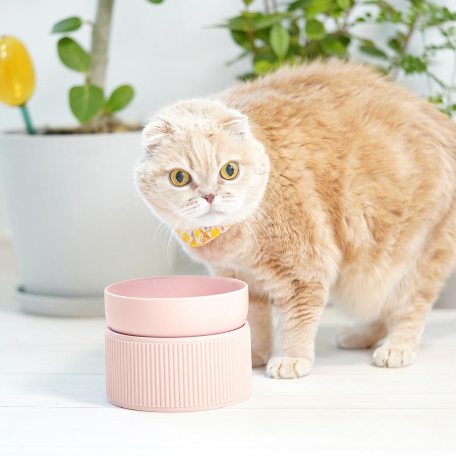 犬用食器 IDOG&ICAT pelpas ペルパ マットカラーシンプルフードボウル セパレートタイプ アイドッグ | iDog | 04