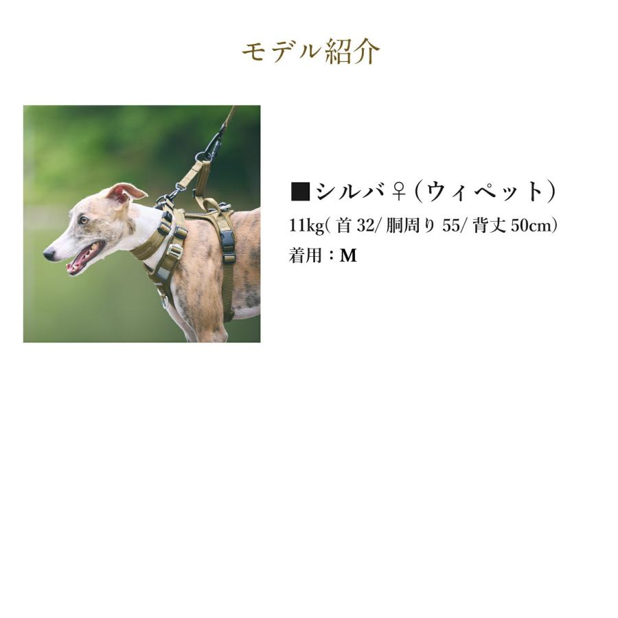 iDog 犬 お散歩用品 TREKNINE ダブルリードパーツ トレックナイン アイ