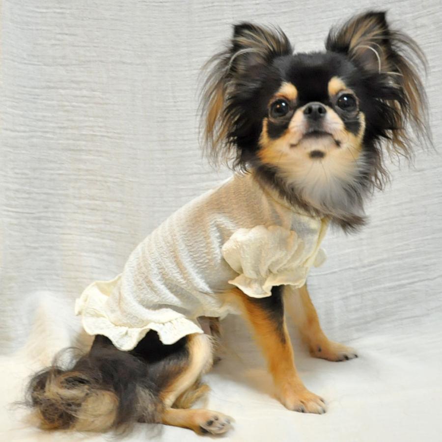 iDog 大感謝祭セール 50%OFF 犬 服 フリルブラウス fleur アイドッグ