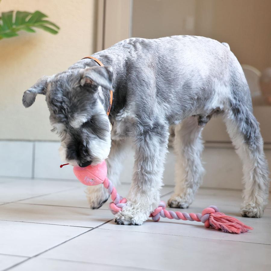 iDog 犬 おもちゃ にょろにょろロープへび 鳴き笛入り アイドッグ
