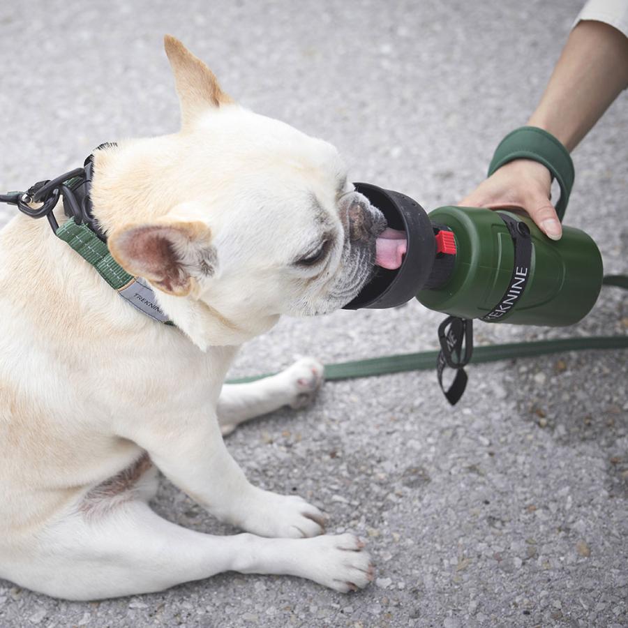 iDog ワンダフルセール 10%OFF お散歩 給水 TREKNINE FOLDABLE PET