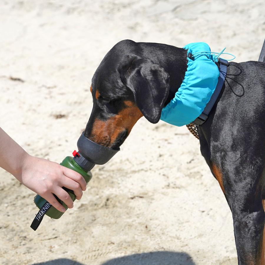 iDog ワンダフルセール 10%OFF お散歩 給水 TREKNINE FOLDABLE PET