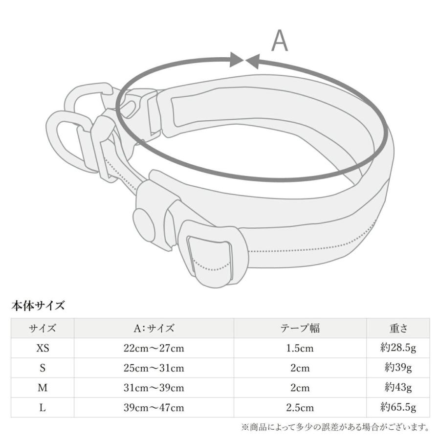 iDog 犬 首輪 TREKNINE|カラー|ダブルリングメッシュパッド XS/S iDog 犬 首輪 TREKNINE|カラー|ダブルリングメッシュパッド XS/S
