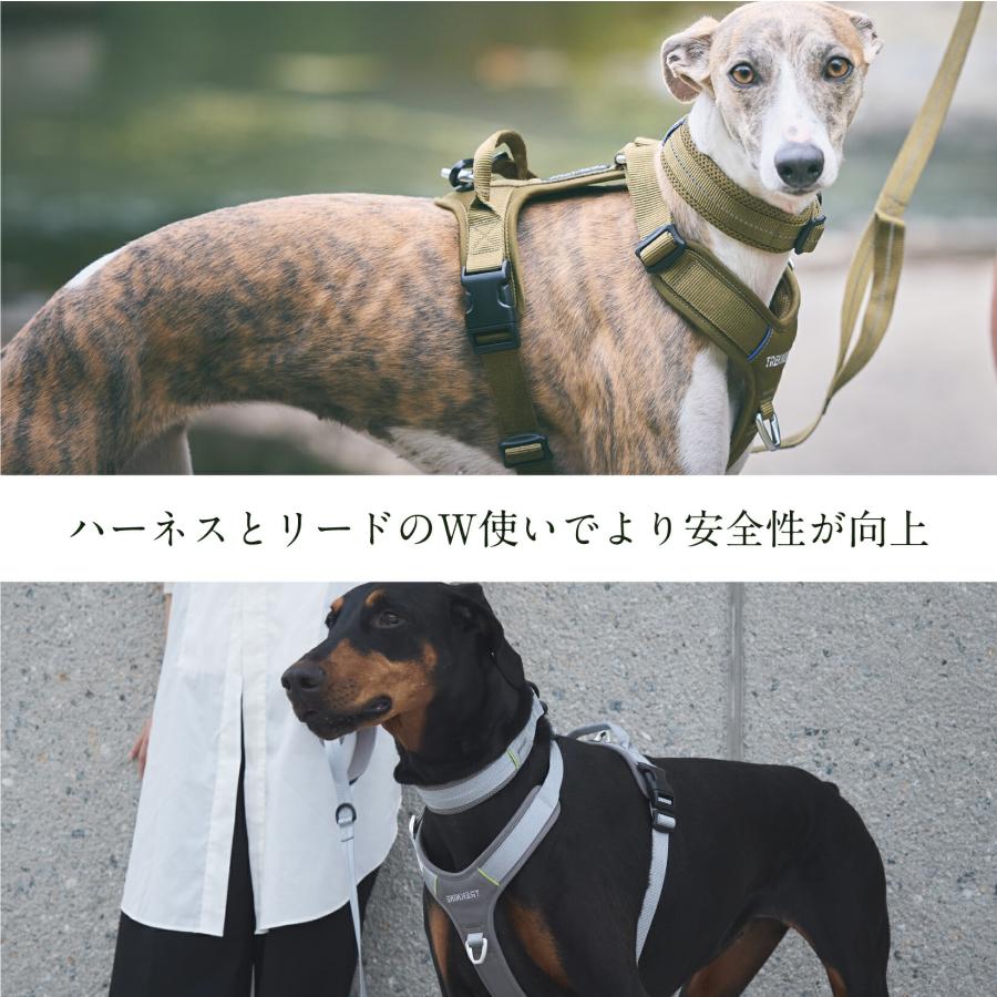 iDog 犬 首輪 TREKNINE|カラー|ダブルリングメッシュパッド XS/S iDog 犬 首輪 TREKNINE|カラー|ダブルリングメッシュパッド XS/S