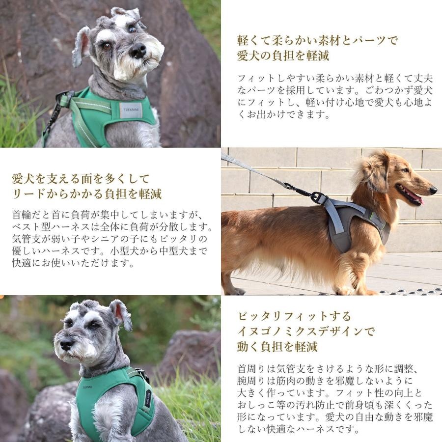 iDog 犬 ハーネス TREKNINE コンフォートAIR ベスト XS/Sサイズ